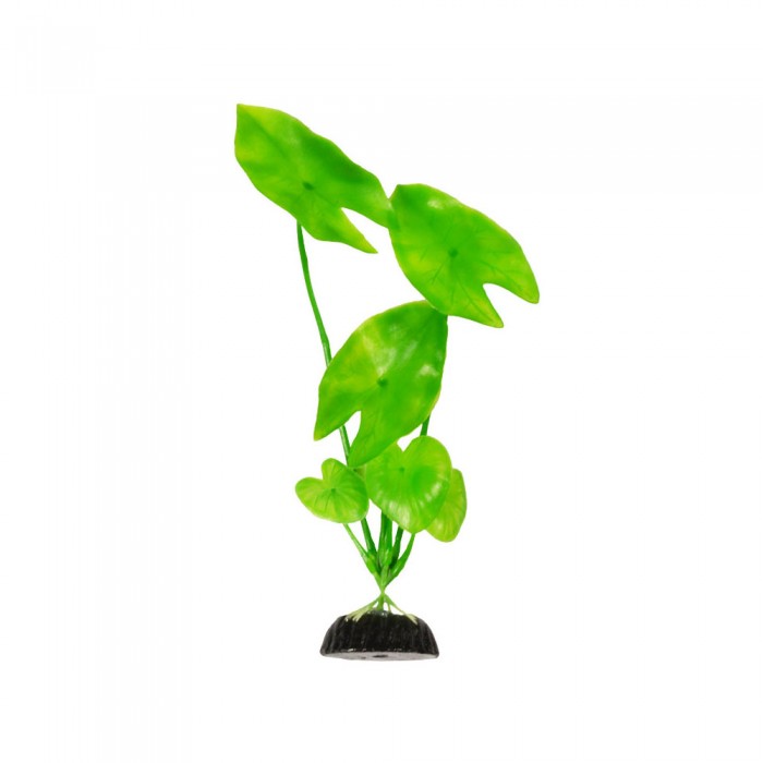 Растение Plant 003 Нимфея 30см