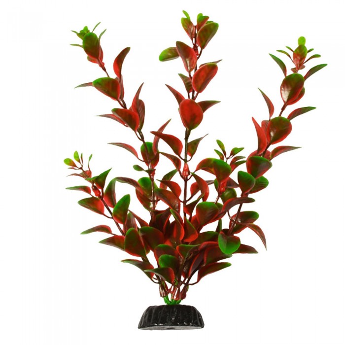 Растение Plant 006 Людвигия красная 20 см