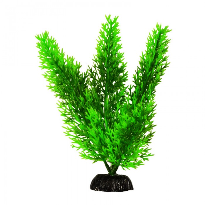 Растение Plant 015 Роголистник зелёный 10 см Барбус