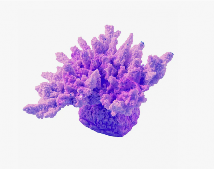 Коралл корона сиреневый акрил Кр-232 ГротАква
