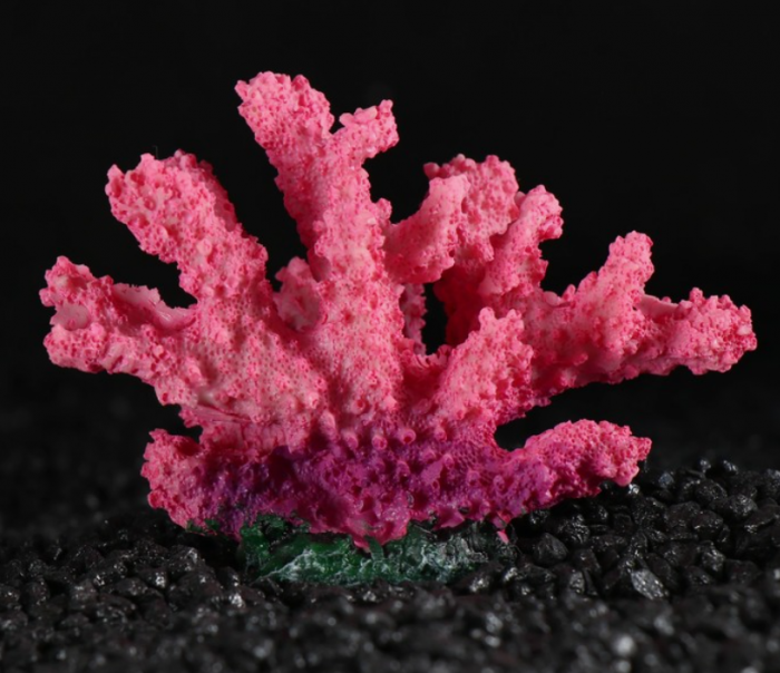 Декоративный коралл "Синулярия", 10 х 5 х 6,5 см
