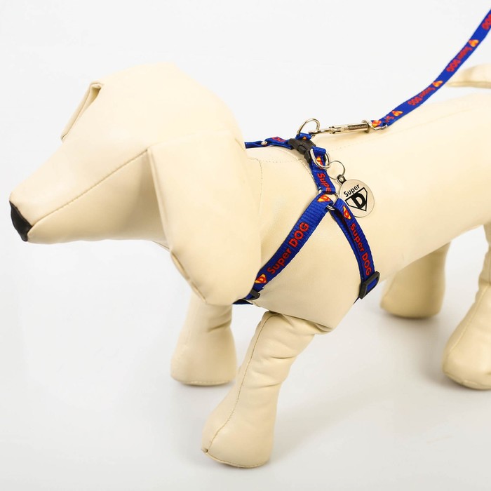 Комплект "Super DOG" капрон 1 см 1-слойный, шлейка 26-39см, поводок 120см, медальон 4090279