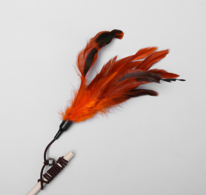 Дразнилка-удочка с перышками и бубенчиком, деревянная палочка 40 см, микс цветов 1943037