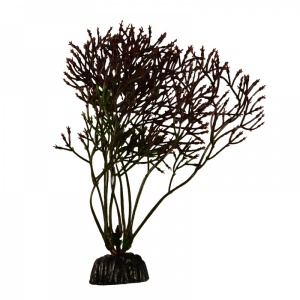Растение Plant 030 Горгонария черная 20 см