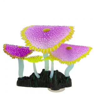 GLOXY Кораллы зонтничные фиолет. Флуорисцент 14х6,5х12см