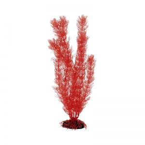 Растение Plant 016 Роголистник коралловый 20 см
