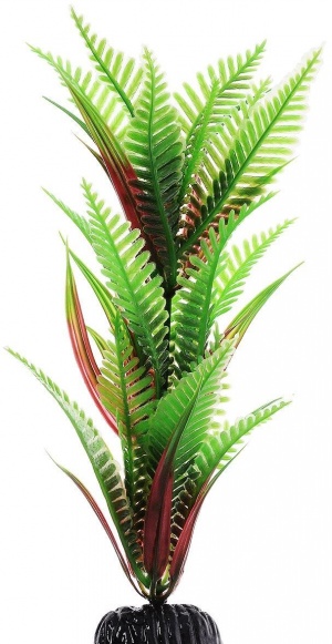 Растение Plant 027 Папоротник зеленый 50 см Барбус