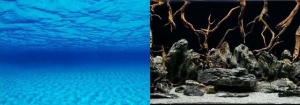 Фон 30см Морская лагуна/Натуральная мистика, цена за 1 м