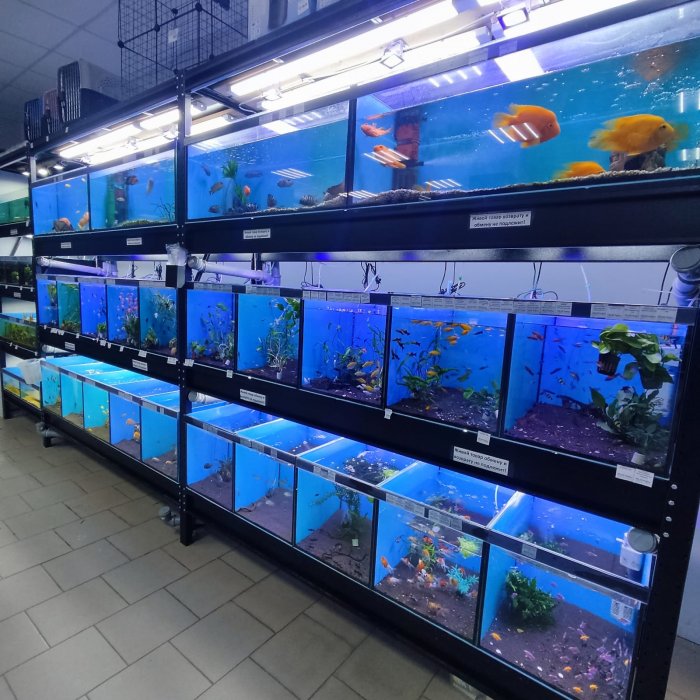 Набережные Челны, пр. Автозаводский, д. 24