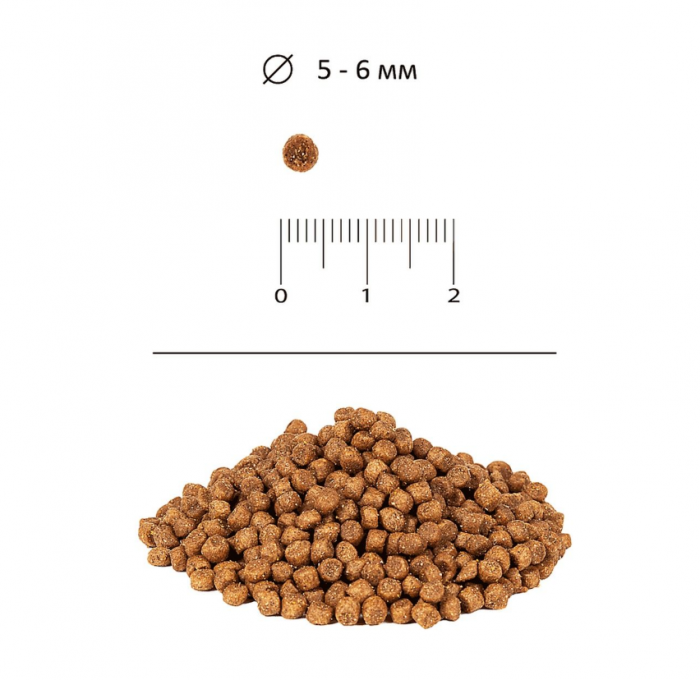 Mr.Buffalo 100 гр для котят Курица B103