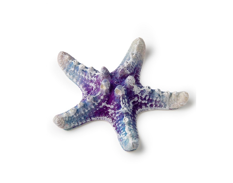 Звезда малая белая Кр-820 ГротАква