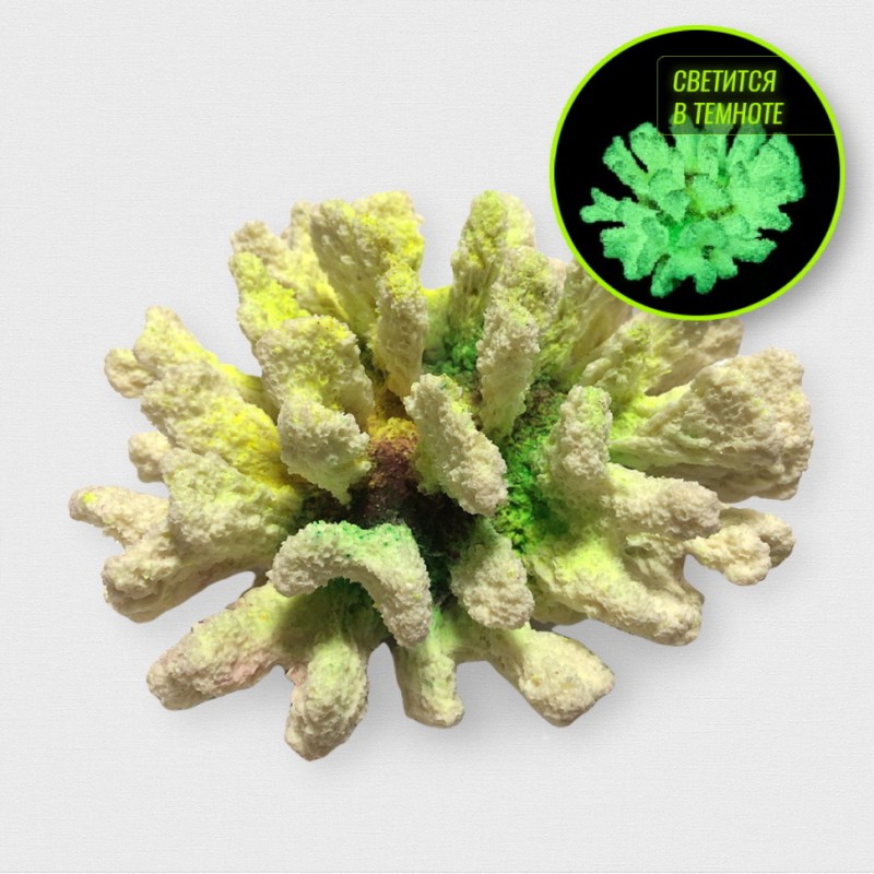 Коралл броколи желтый Кр-1557 ГротАква