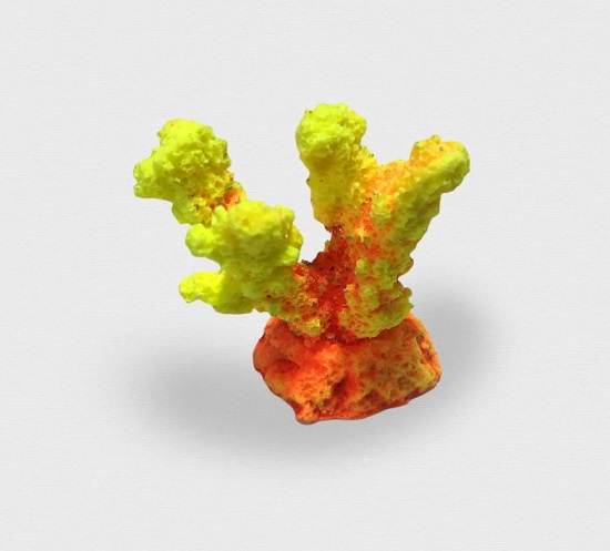 Коралл рога желтый Кр-657 ГротАква