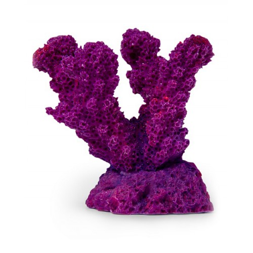 Коралл рога фиолетовый Кр-632 ГротАква