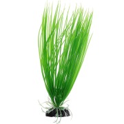 Растение Plant 007 Акорус зелёный 30 см