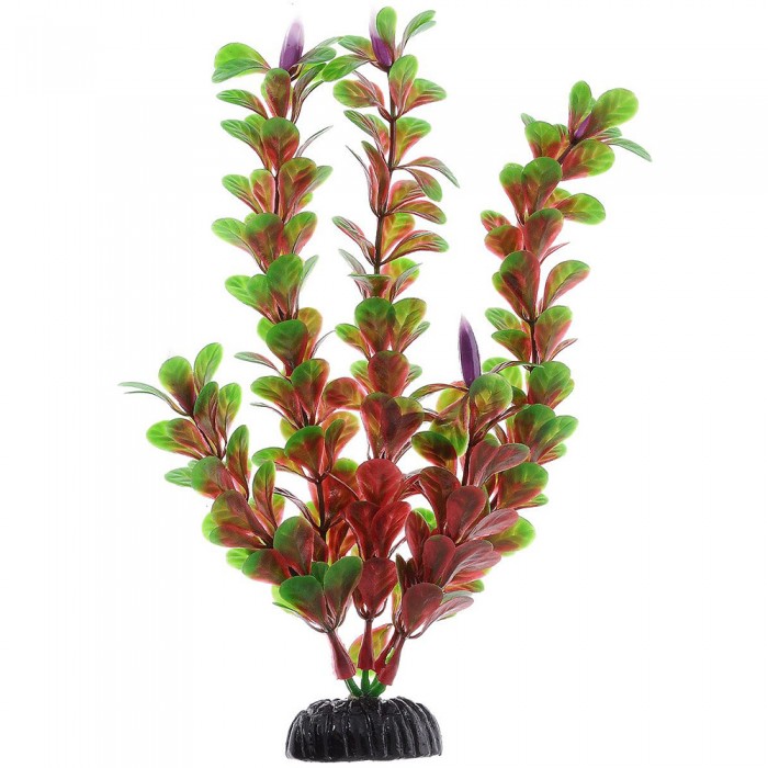 Растение Plant 022 Людвигия 20 см Барбус