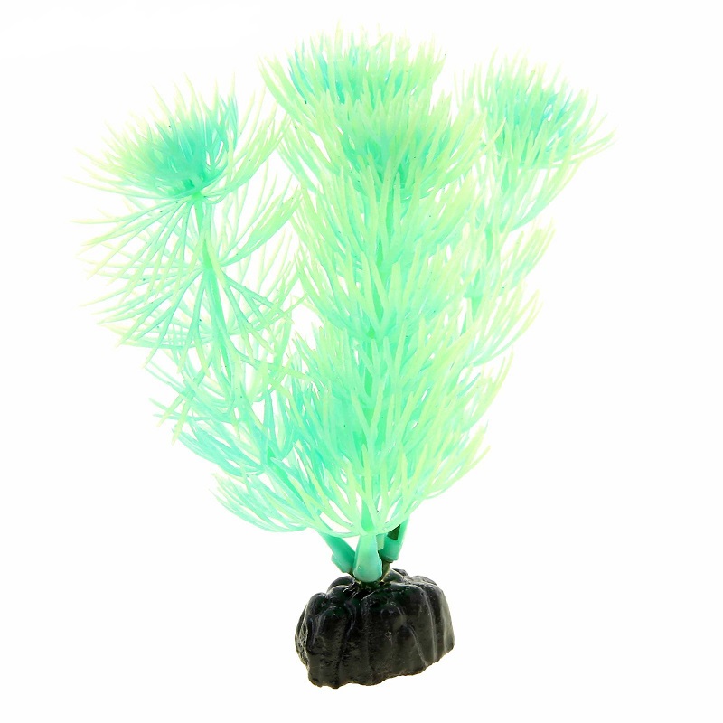 Растение Plant 055 Светящееся в темноте 10 см