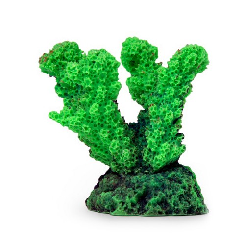 Коралл рога зеленый Кр-624 ГротАква