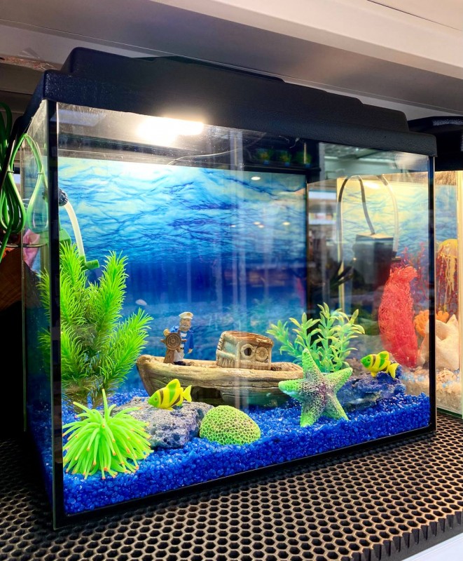 Aквариум-комплект 20 л "Морское приключение"