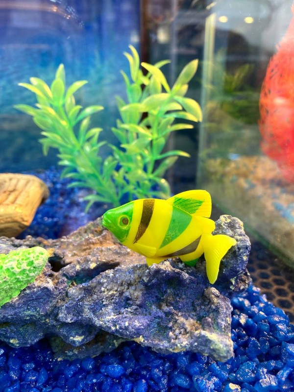 Aквариум-комплект 20 л "Морское приключение"