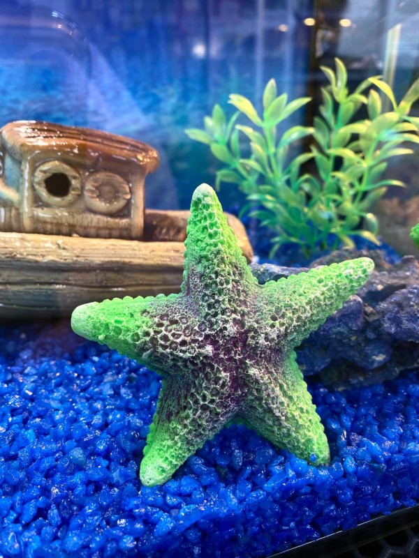 Aквариум-комплект 20 л "Морское приключение"