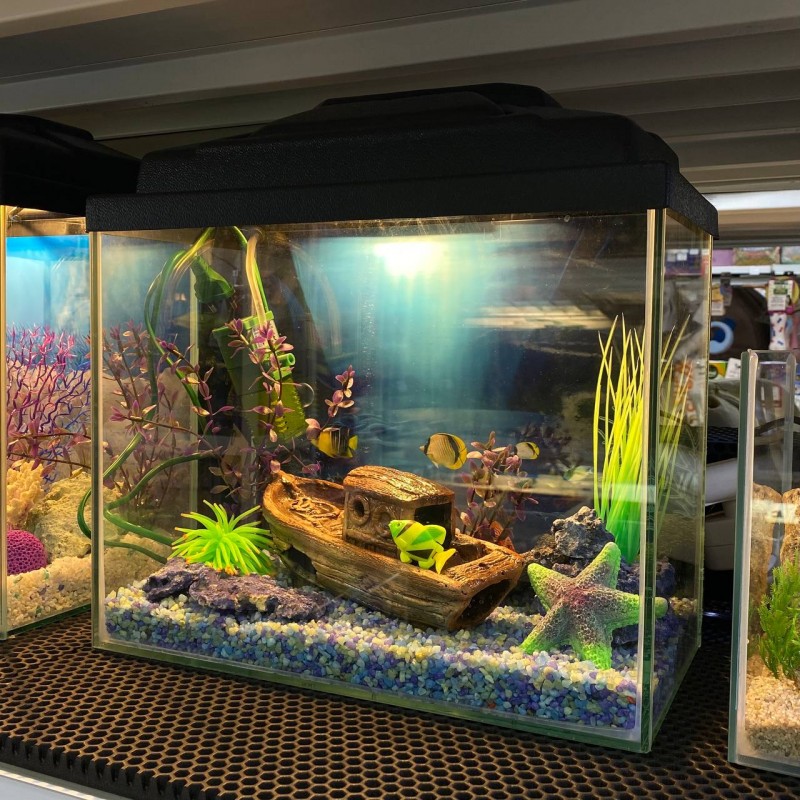 Aквариум-комплект 20 л "Морское приключение"