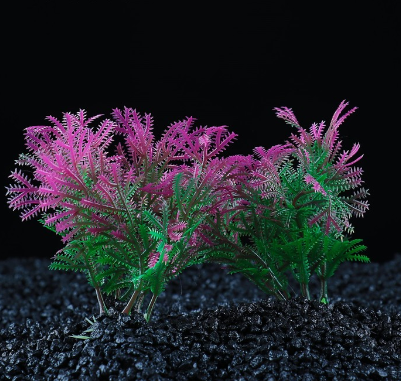 Набор растений (2 шт) 10 см 3184325