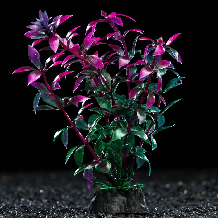 Растение 3 х 13 см 7523965