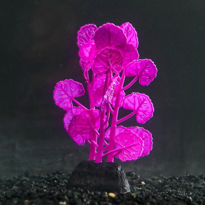 Растение 7 х 11 см 7108753 светящееся в темноте, фиолетовое