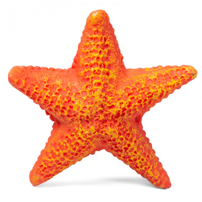 Laguna звезда морская, малая, 85х85х23 мм
