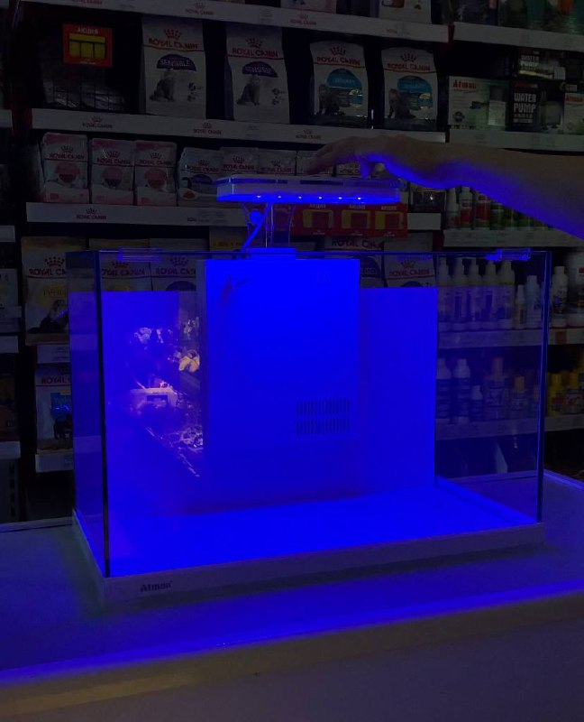 Аквариум Atman ZGT-50 белый, 41 литр, 50,4х25,4х34см (в комплекте внутренний фильтр, LED светильник,