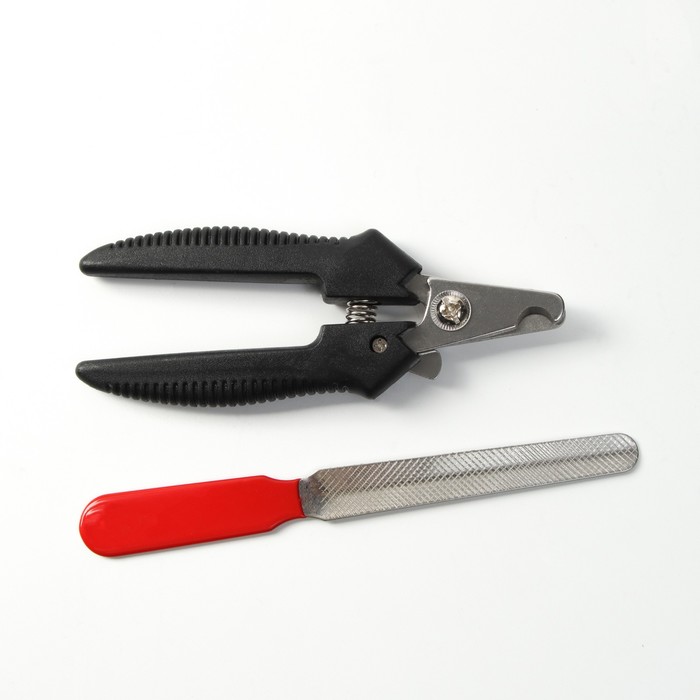 Набор: когтерез боковой (отверстие 8 мм) и пилка 6960829 черный и красный