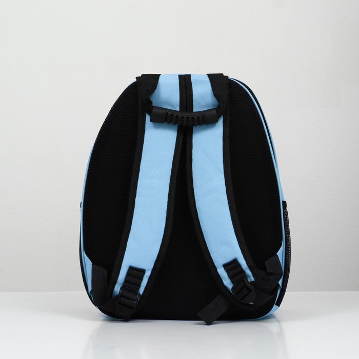Рюкзак для переноски животных с окном для обзора, голубой 9208848