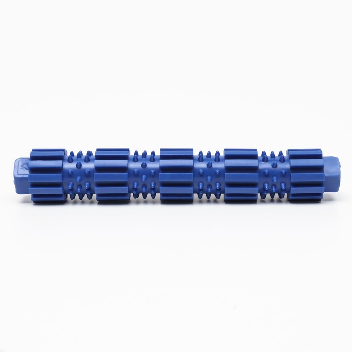 Игрушка "Палка с шипами", TPR, 18 см, синяя 7989629 жевательная для собак (искл)