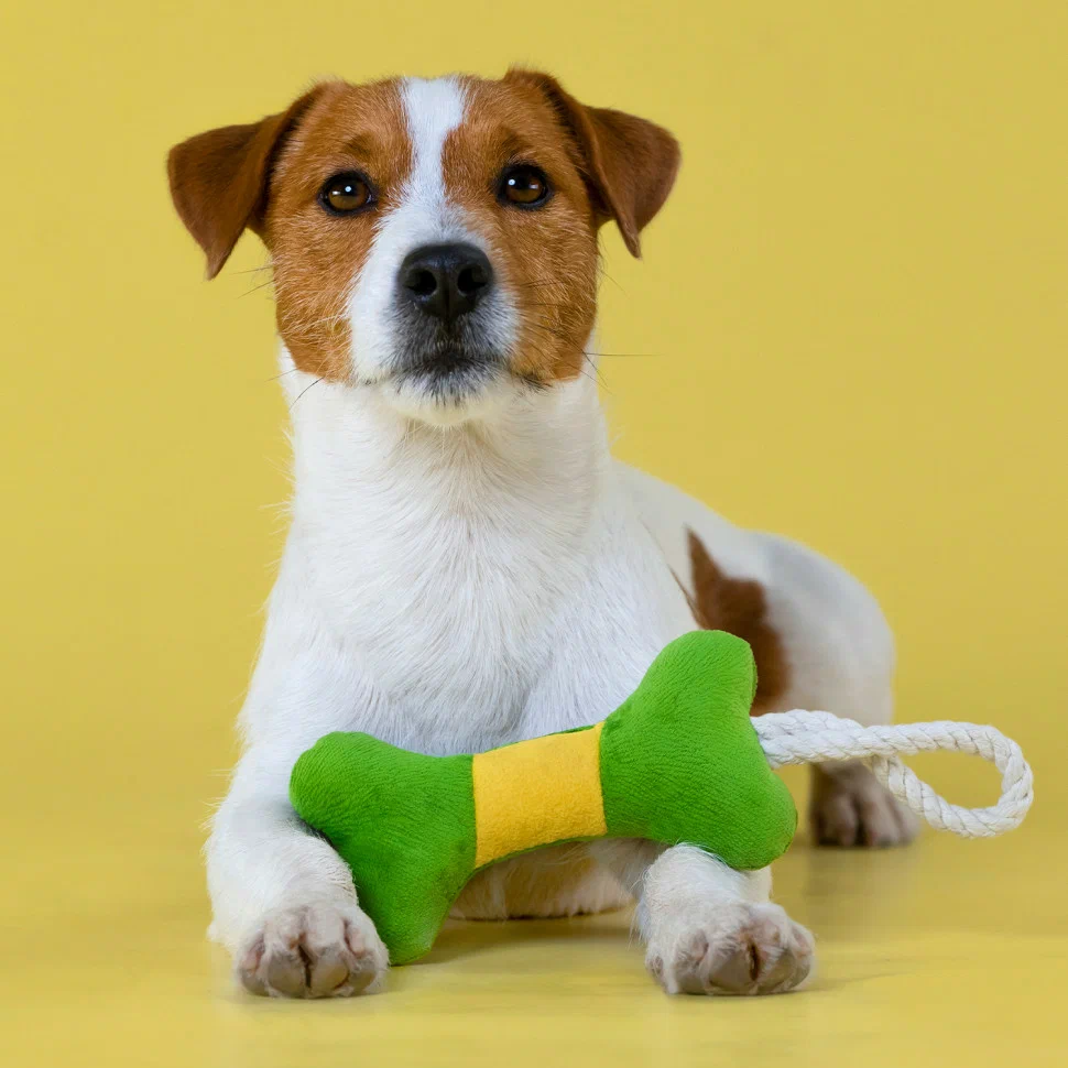 Игрушка Mr.Kranch для собак мелких и средних пород Косточка с канатом 31х9х4см, зеленая с желтым