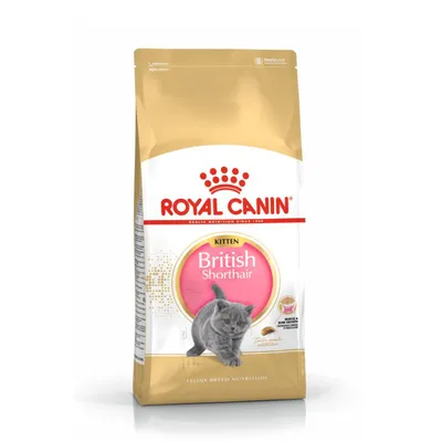 Корм Royal Canin Kitten British Shorthair для котят породы Британская короткошерстная