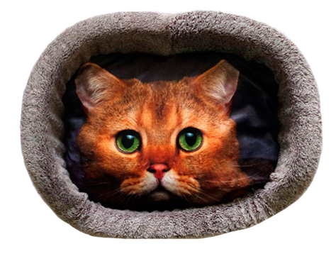 Лежанка ДИЗАЙН № 4 с кошкой Rich Breed (PerseiLine), 53х38х16 см, принт подушки в ассортименте