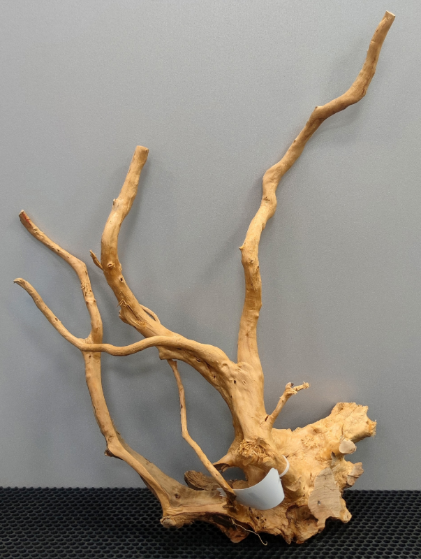 PRIME Коряга сакура L 50-60 см (цена за 1 шт)