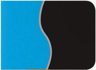 Фон (Triol) 9015/9017 голубой/черный выс.40 см цена за 1 м