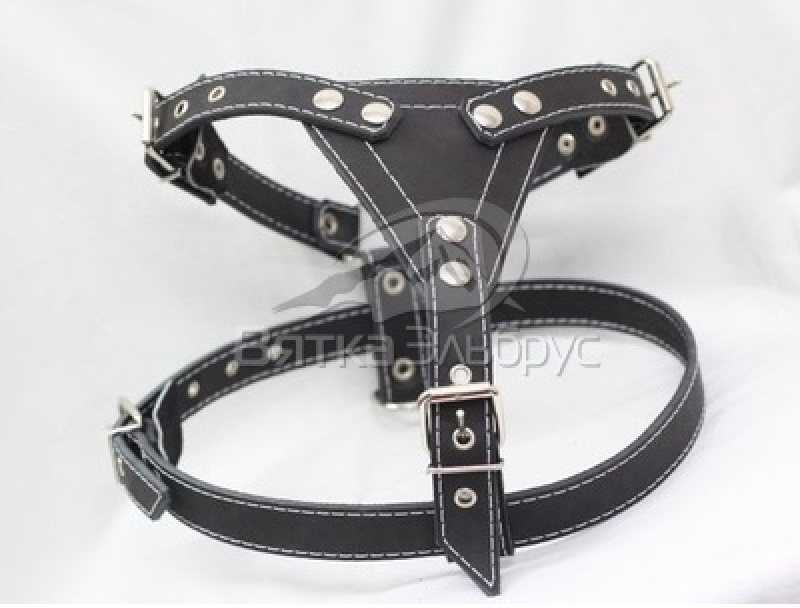 Шлея (25 мм) кожа (амстаф, доберман) 062502