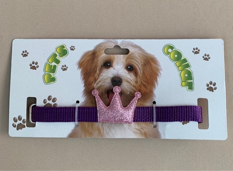 Ошейник нейлон "Корона" 1,5см, разноцвет ассорти