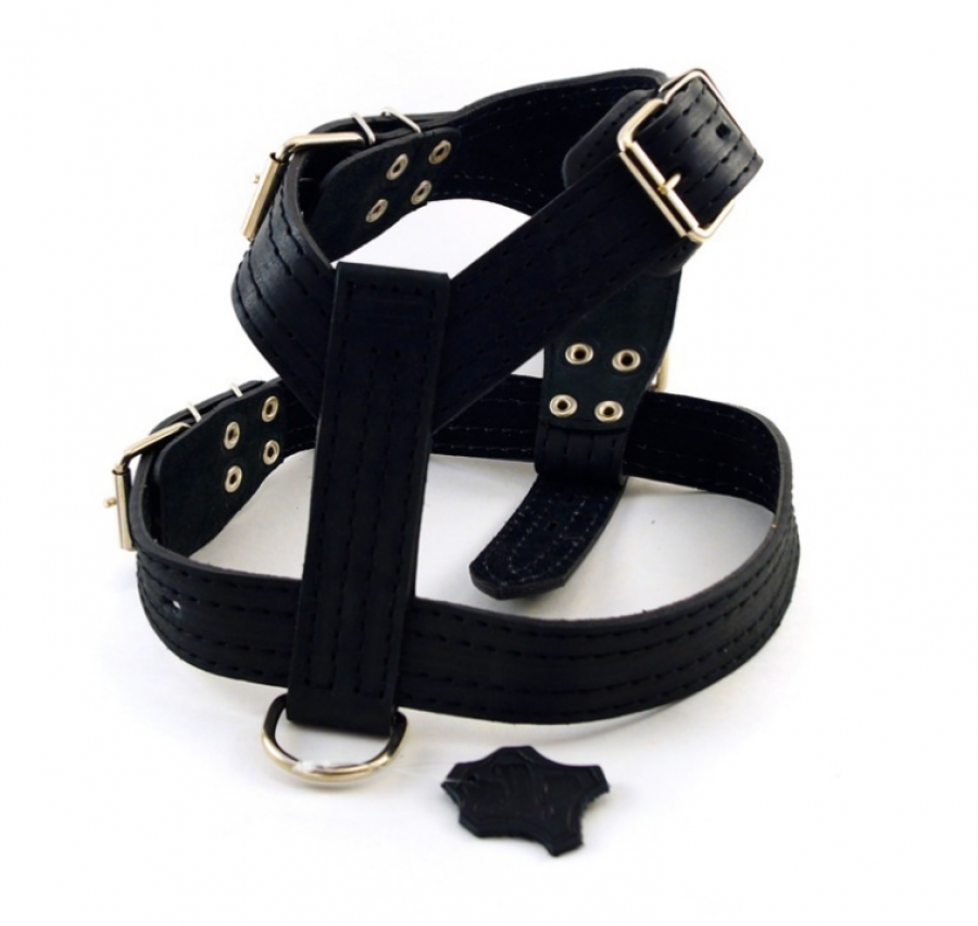 Шлея (30мм) кожа классика 063002