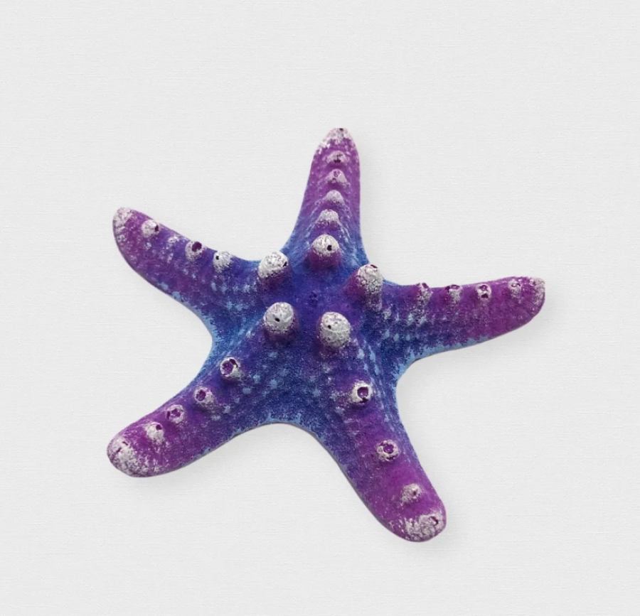 Звезда малая фиолетовая К-01 ГротАква