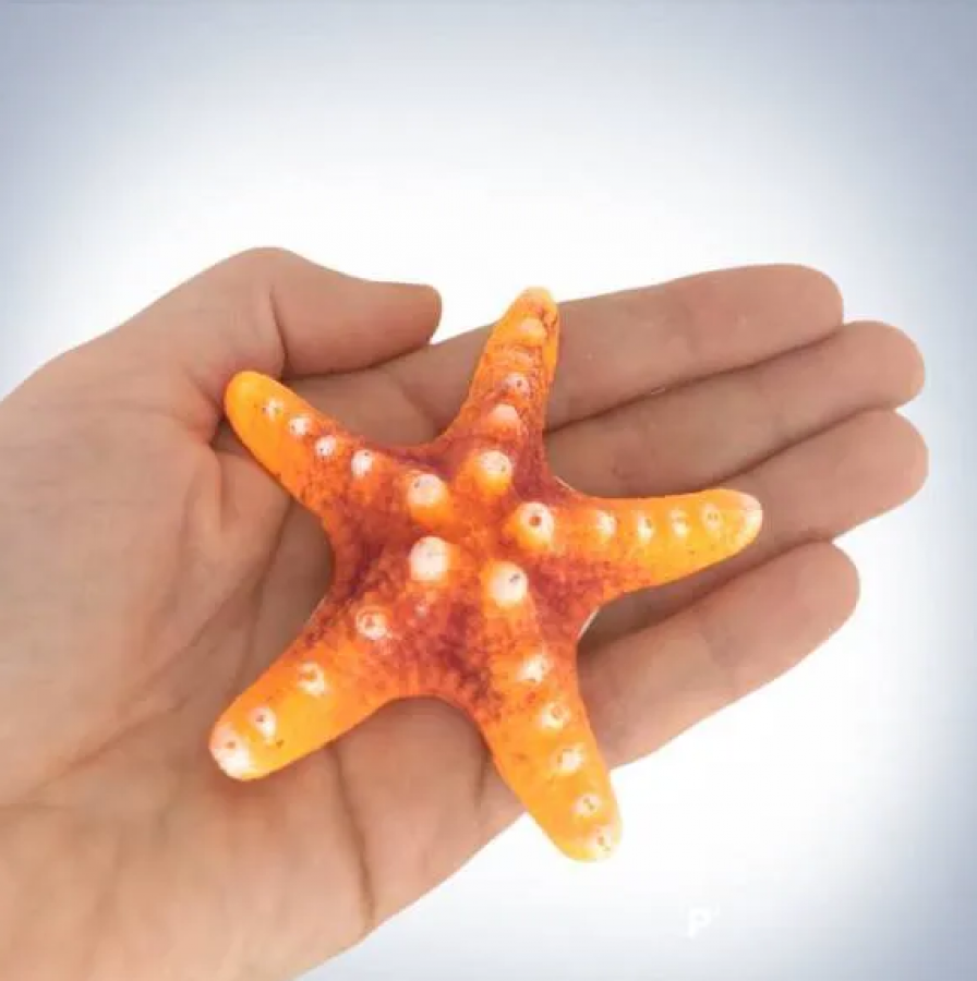 Звезда малая оранжевая К-01 ГротАква