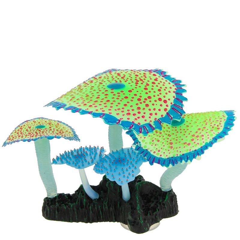 GLOXY Кораллы зонтничные зеленые, Флуорисцент 14х6,5х12см