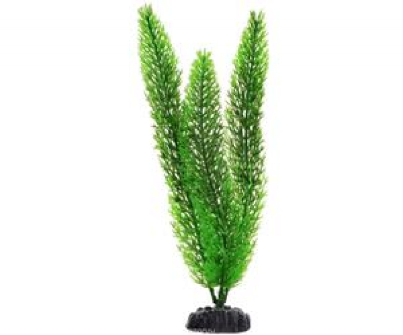 Растение Plant 015 Роголистник зелёный 30 см Барбус