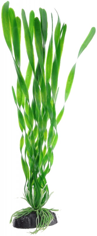 Растение Plant 014 Валиснерия спиральн.30 см Барбус