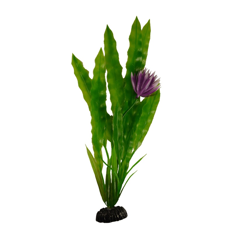 Растение Plant 029 Апоногетон Курчавый зеленый 30 см