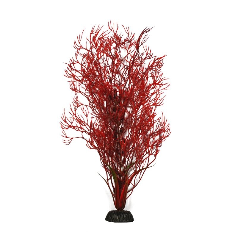 Растение Plant 032 Горгонария красная 50 см