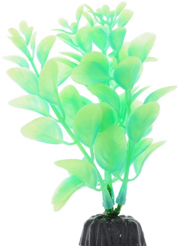 Растение Plant 057 Светящееся в темноте 10 см